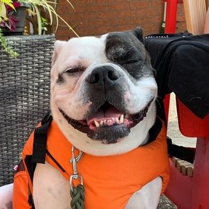 Meet your Posher, Kate